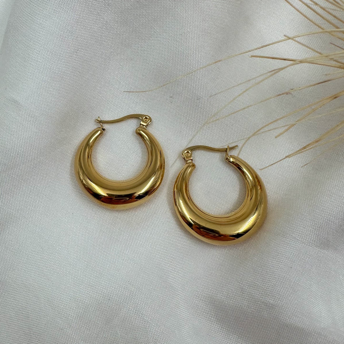 Vera Hoops