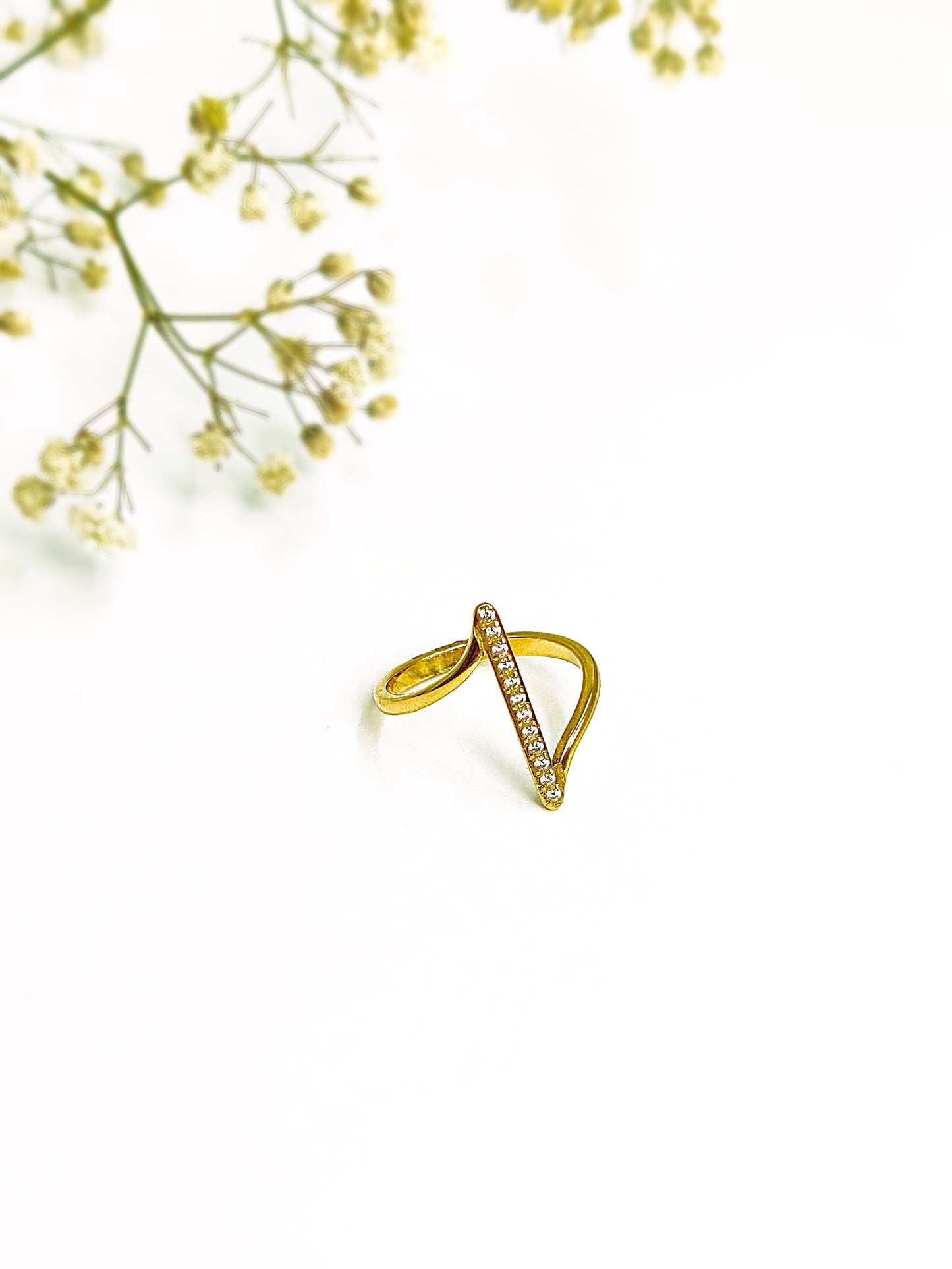 Zani Ring