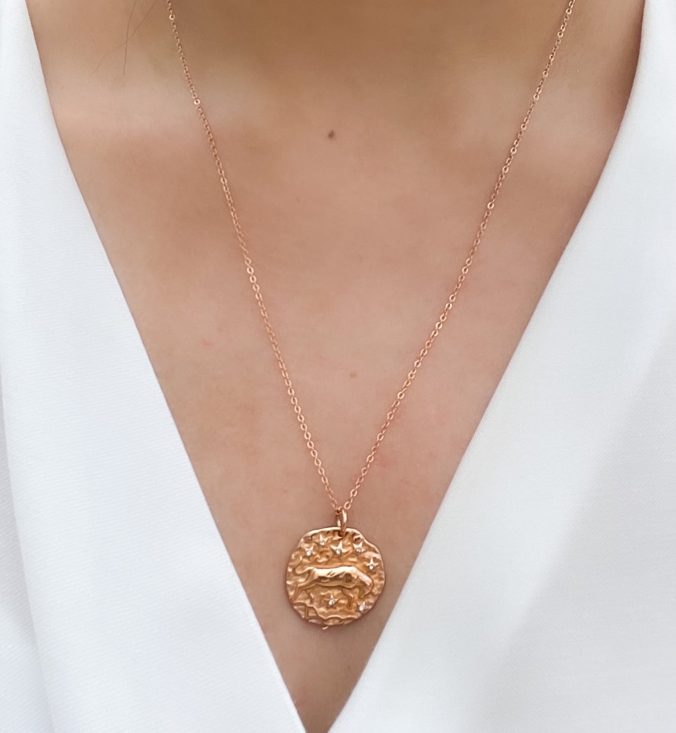 French Zodiac Coin Necklace (Taurus)