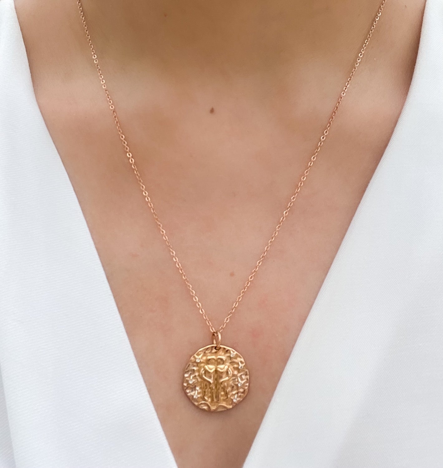 French Zodiac Coin Necklace (Gemini)