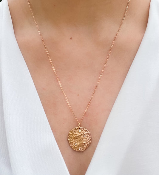 French Zodiac Coin Necklace (Pisces)